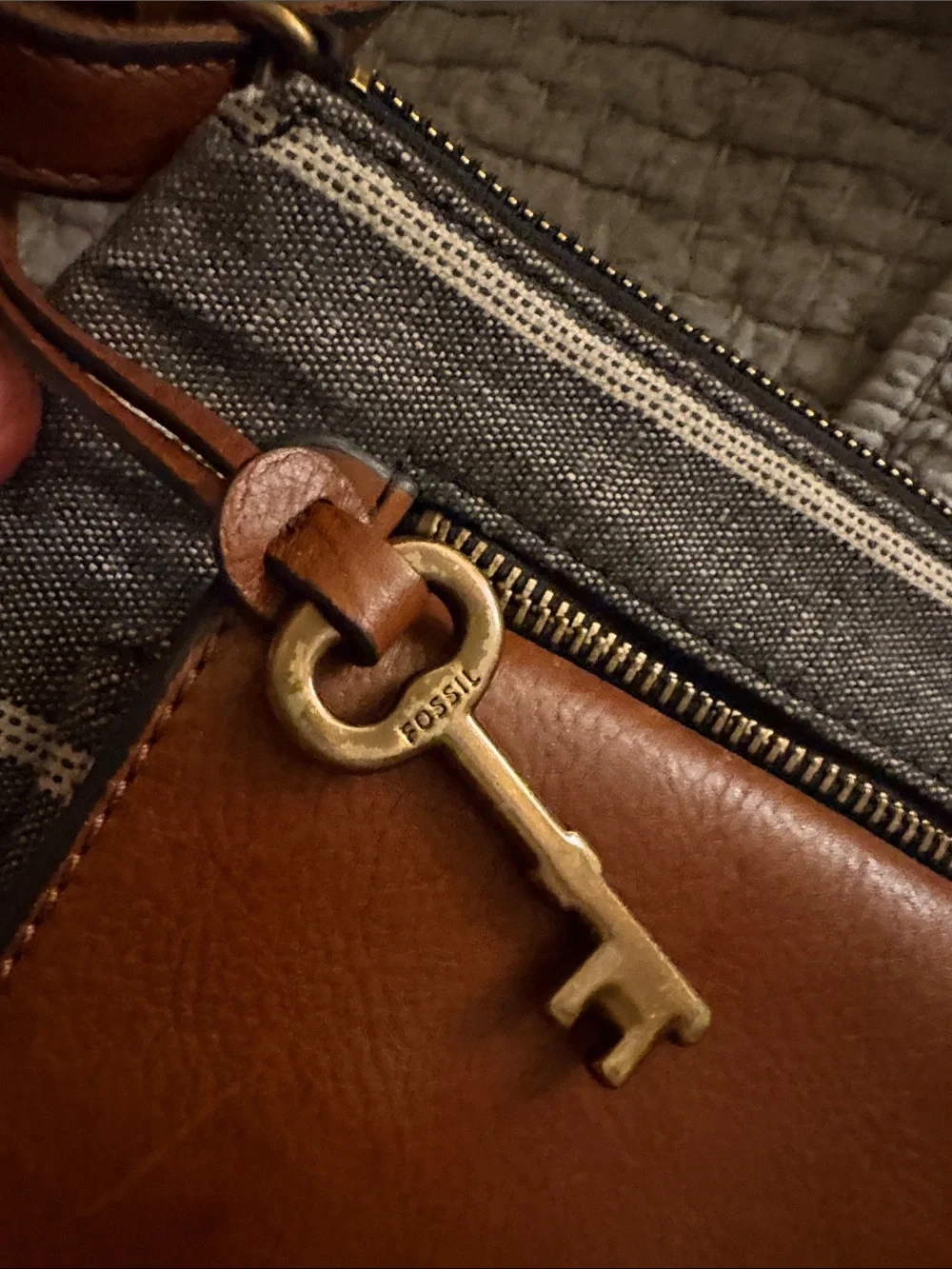 Fossil super cute